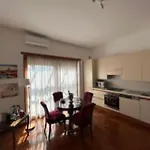 Lovely Terrace Aurelia 公寓 罗马